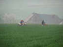 img_3614