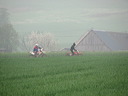 img_3615