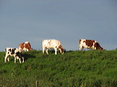 img_1719