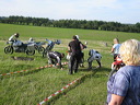 img_4316